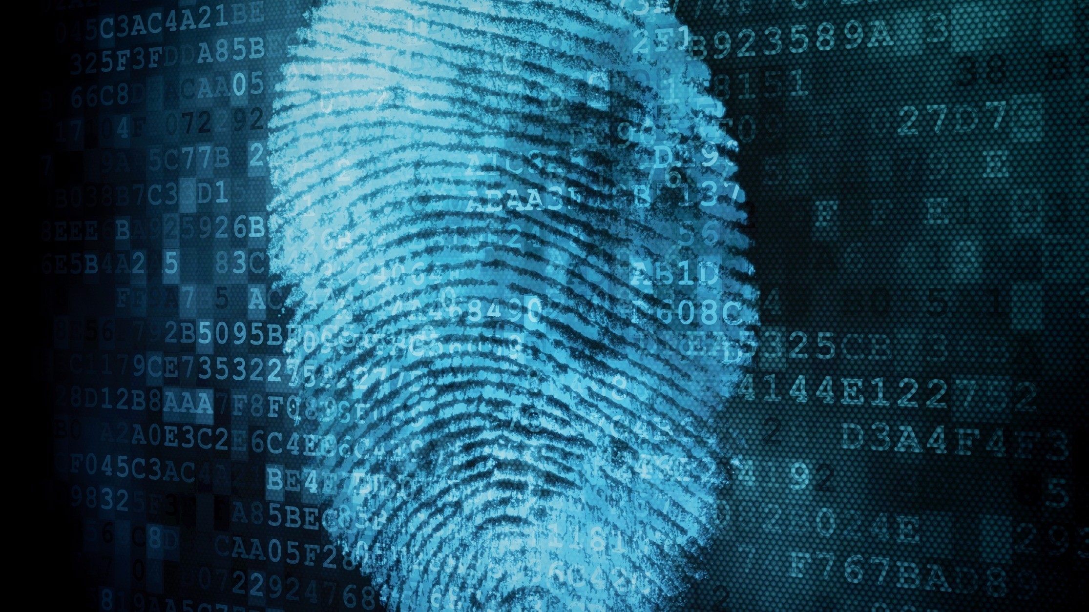 IT security and data privacy specialists at IT Pro Expert